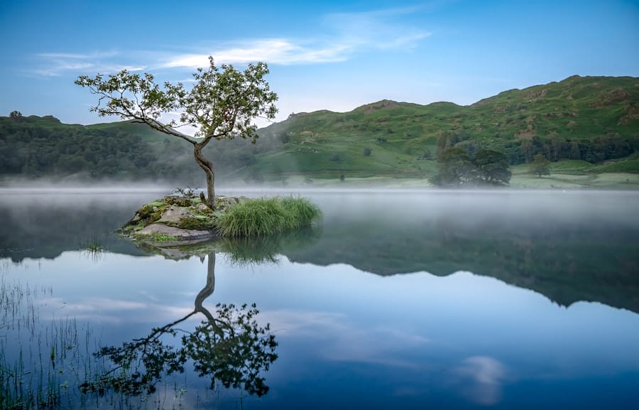 Photo Community newsletter