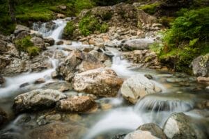 Photo Community newsletter
